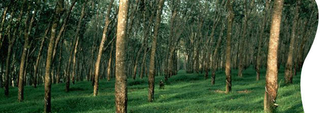 latex foam adjustable bed mattress