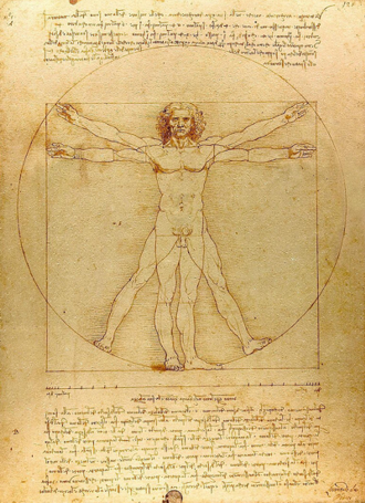 The Vitruvian man